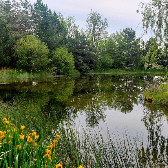 Meet your Posher, Brenda, ~HipFarmChick Designs~ - Picture 16 of 16